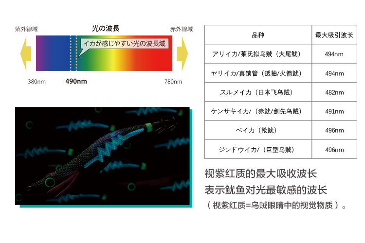 未標題-3.png