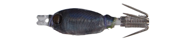 NROS004.png